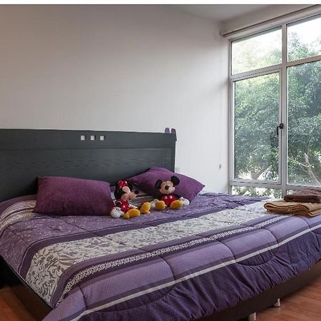 Hermoso Departamento Cerca De Todo Apartment เม็กซิโกซิตี้ ภายนอก รูปภาพ